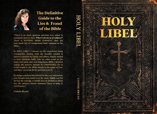 holy libel book
